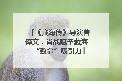 《藏海传》导演曹译文：肖战赋予藏海“致命”吸引力