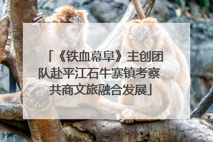 《铁血幕阜》主创团队赴平江石牛寨镇考察 共商文旅融合发展