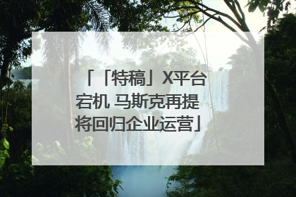 「特稿」X平台宕机 马斯克再提将回归企业运营