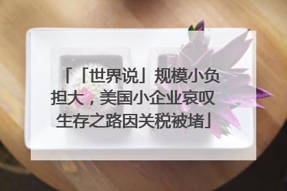 「世界说」规模小负担大，美国小企业哀叹生存之路因关税被堵