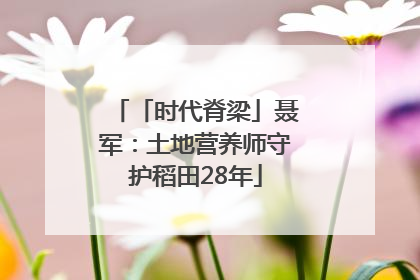 「时代脊梁」聂军：土地营养师守护稻田28年