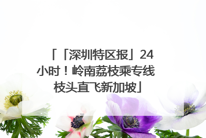 「深圳特区报」24小时！岭南荔枝乘专线 枝头直飞新加坡