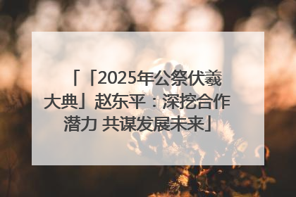 「2025年公祭伏羲大典」赵东平：深挖合作潜力 共谋发展未来