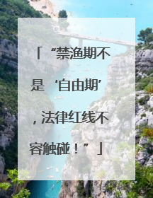 “禁渔期不是‘自由期’，法律红线不容触碰！”