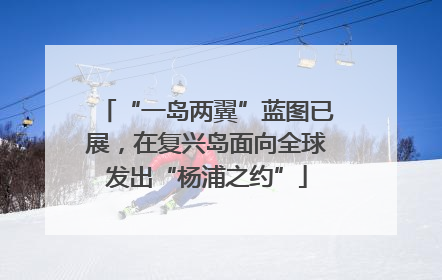 “一岛两翼”蓝图已展，在复兴岛面向全球发出“杨浦之约”
