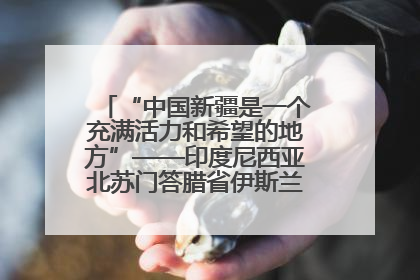 “中国新疆是一个充满活力和希望的地方”——印度尼西亚北苏门答腊省伊斯兰教代表团参访新疆