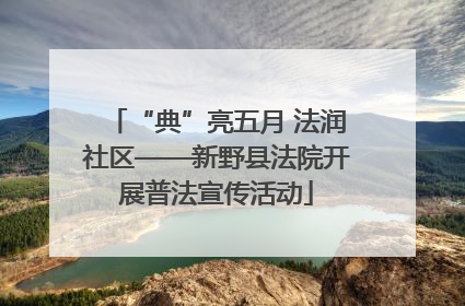 “典”亮五月 法润社区——新野县法院开展普法宣传活动