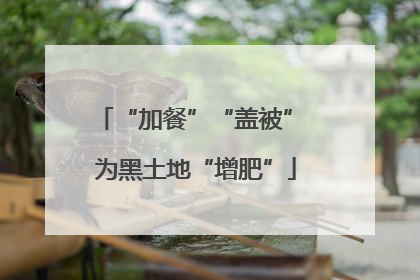 “加餐”“盖被” 为黑土地“增肥”