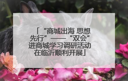 “商城出海 思想先行”——“双会”进商城学习调研活动在临沂顺利开展