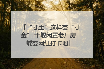 “寸土”这样变“寸金” 十堰闲置老厂房蝶变网红打卡地
