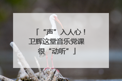 “声”入人心！卫辉这堂音乐党课很“动听”