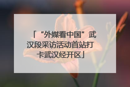 “外媒看中国”武汉段采访活动首站打卡武汉经开区