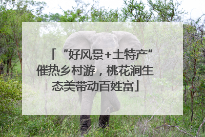 “好风景+土特产”催热乡村游，桃花涧生态美带动百姓富