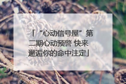 “心动信号屋”第二期心动预警 快来邂逅你的命中注定