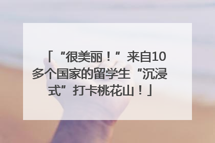 “很美丽！”来自10多个国家的留学生“沉浸式”打卡桃花山！