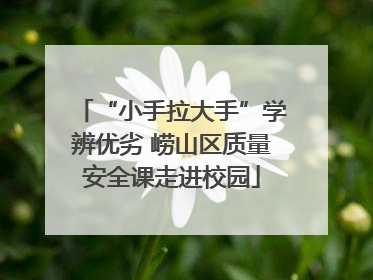 “小手拉大手”学辨优劣 崂山区质量安全课走进校园