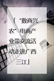 “数商兴农”电商产业带交流活动走进广西三江