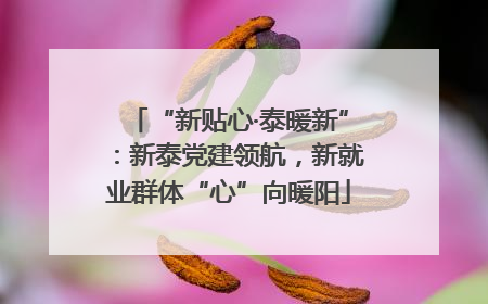 “新贴心·泰暖新”：新泰党建领航，新就业群体“心”向暖阳