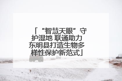 “智慧天眼”守护湿地 联通助力东明县打造生物多样性保护新范式