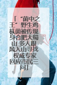 “菌中之王”野生鸡枞菌被传现身合肥大蜀山 多人跟风入山寻找 权威专家回应市民三问