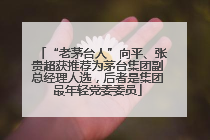 “老茅台人”向平、张贵超获推荐为茅台集团副总经理人选，后者是集团最年轻党委委员