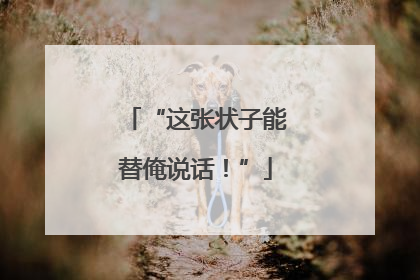 “这张状子能替俺说话！”