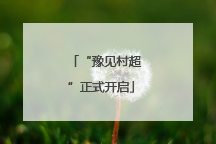 “豫见村超”正式开启