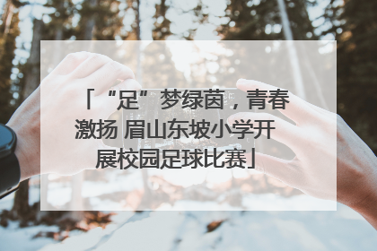 “足”梦绿茵，青春激扬 眉山东坡小学开展校园足球比赛