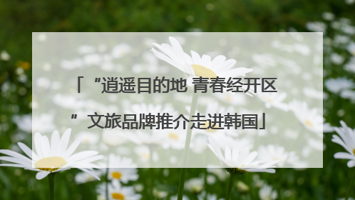 “逍遥目的地 青春经开区”文旅品牌推介走进韩国