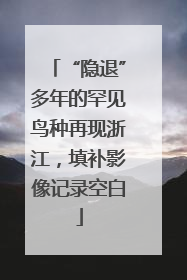 “隐退”多年的罕见鸟种再现浙江，填补影像记录空白