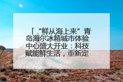 “鲜从海上来”青岛海尔冰箱城市体验中心盛大开业：科技赋能鲜生活，重新定义全球饮食未来