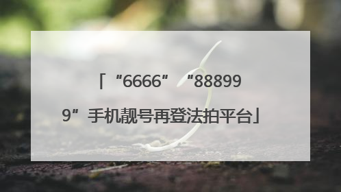 “6666”“888999”手机靓号再登法拍平台