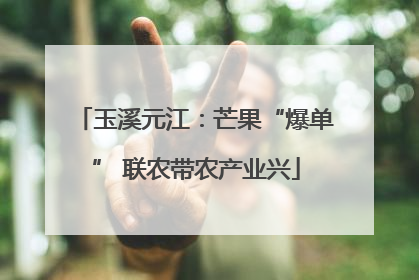 玉溪元江：芒果“爆单” 联农带农产业兴