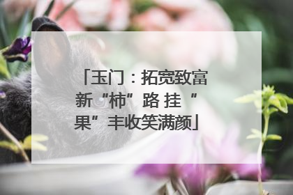 玉门：拓宽致富新“柿”路 挂“果”丰收笑满颜