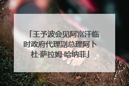 王予波会见阿富汗临时政府代理副总理阿卜杜·萨拉姆·哈纳菲