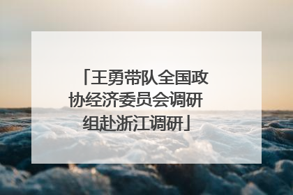 王勇带队全国政协经济委员会调研组赴浙江调研