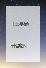 王学勤，升副部