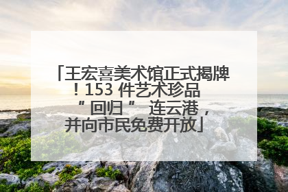 王宏喜美术馆正式揭牌！153 件艺术珍品 “ 回归 ” 连云港，并向市民免费开放