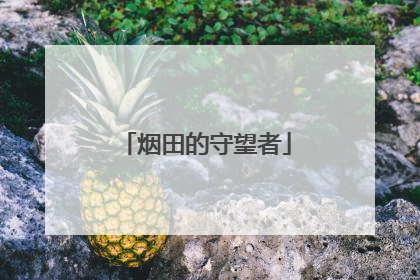 烟田的守望者