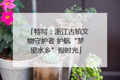 特写：浙江古镇文物守护者 护航“梦里水乡”慢时光
