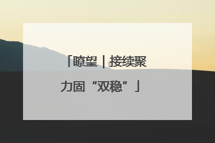 瞭望｜接续聚力固“双稳”
