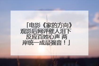 电影《家的方向》观影后网评催人泪下 反应百姓心声 两岸统一成最强音！