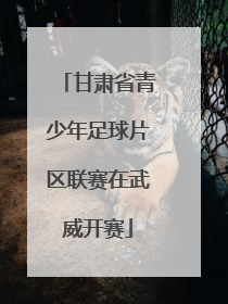 甘肃省青少年足球片区联赛在武威开赛