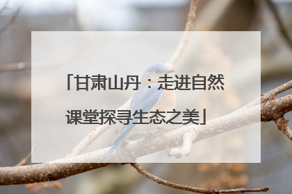 甘肃山丹：走进自然课堂探寻生态之美
