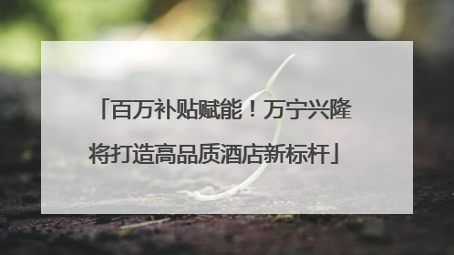 百万补贴赋能！万宁兴隆将打造高品质酒店新标杆