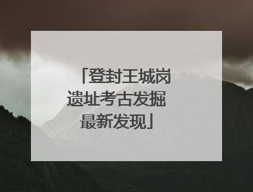 登封王城岗遗址考古发掘最新发现