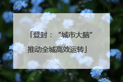 登封：“城市大脑”推动全城高效运转