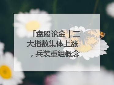 盘股论金｜三大指数集体上涨，兵装重组概念遥遥领先
