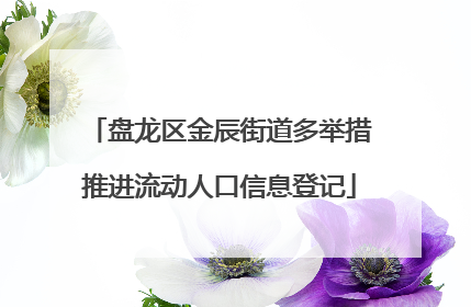 盘龙区金辰街道多举措推进流动人口信息登记