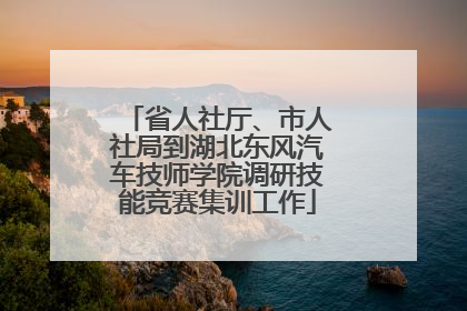 省人社厅、市人社局到湖北东风汽车技师学院调研技能竞赛集训工作